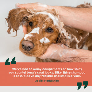 Silky Shine Conditioning Shampoo